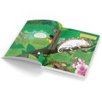 Factivity: Amazing Animals Discover the facts! Do the Activities Book [Paperback] Parragon ISBN 9781472389299
