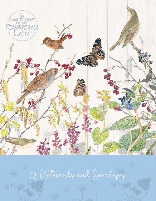 The Gifted Stationery Notecard Wallet - Catkin Grove with 12 Greeting Cards and Envelopes Set ISBN 9781800547124