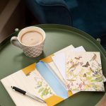 The Gifted Stationery Notecard Wallet - Catkin Grove with 12 Greeting Cards and Envelopes Set ISBN 9781800547124