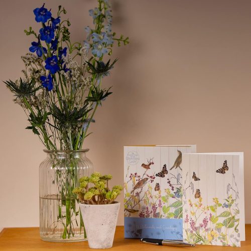 The Gifted Stationery Notecard Wallet - Catkin Grove with 12 Greeting Cards and Envelopes Set ISBN 9781800547124