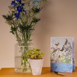 The Gifted Stationery Sticky Note Folder - The Country Diary of an Edwardian Lady - Catkin Grove ISBN 9781800547247